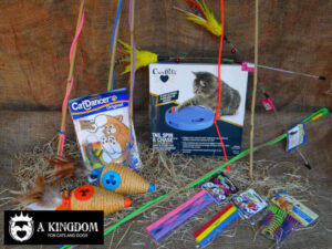 Katten speeltjes