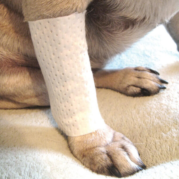 PawFlex® beschermhoes