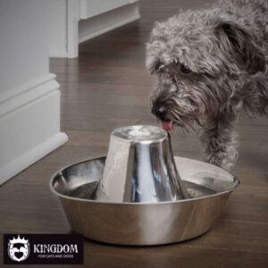 Drinkwell® Seaside Stainless Steel Pet Fountain 1.8L