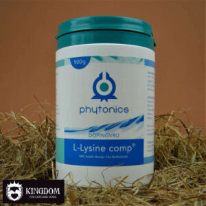 Phytonics L-lysine comp 500gr