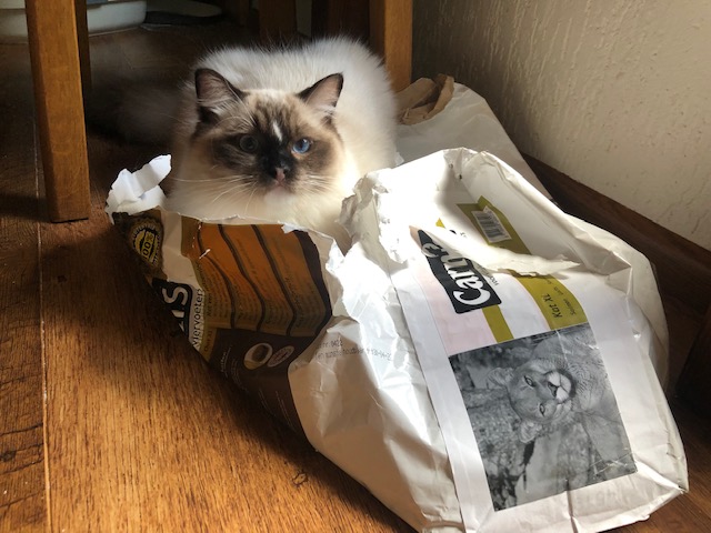 Allweneedis Ragdoll met Carnis kattenbrok