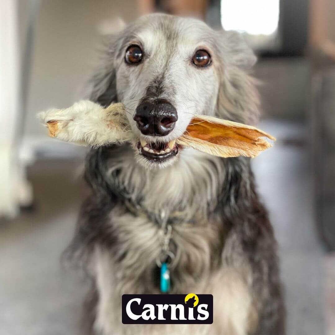 Carnis konijnoor Carnis natuurlijke voeding voor hond & kat