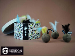 District70 GLORY katten speelbal