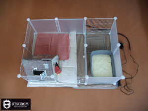 Kitten ren zindelijkheidstraining. Indeling kitten ren voor de eerste 5 a 6 weken.