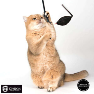 Kat speelt met speelmuis hanger van PROfeline