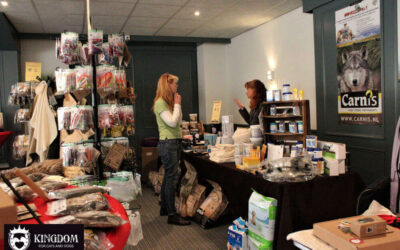 Wat feedback van bezoekers ons verteld over duurzame producten voor honden en katten