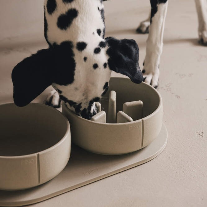 Pino Bowl Large – Classic en Slow Feeder, Sandstone voerbak voor grote honden, duurzaam, antislip en vaatwasserbestendig.
