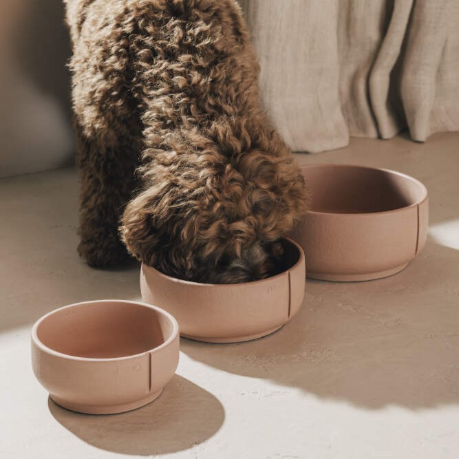 Pino Bowls in S, M en L Medium, geschikt voor middelgrote honden zoals de labradoodle.