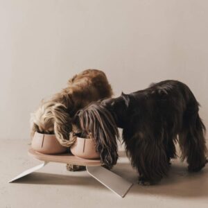 Twee honden met lange oren eten uit Pino Long Ears Bowls met een in hoogte verstelbare standaard.