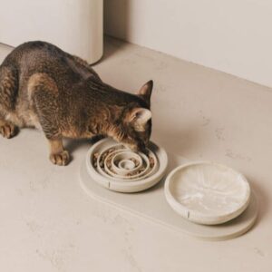 Kat eet uit een Pino Slow Feeder Bowl set op een serveer tray. Complete set in Owl Greige met de classic bowl in Marble.