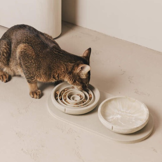 Kat eet uit een Pino Slow Feeder Bowl set op een serveer tray. Complete set in Owl Greige met de classic bowl in Marble.