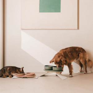 Pino Raised Tray Set met medium en large trays; hond en kat eten op verhoogde hoogte.