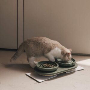 Kat eet uit een groene Pino cat bowl set die op de Raised Tray Set op hoogte stand 1 staat.