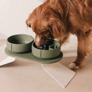 Hond eet uit groene Pino‑bowls op de Raised Tray Set met witte standaard in stand 3.