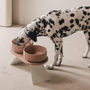 Hond eet uit terracotta kleurige Pino‑bowls op de Raised Tray Set met witte standaard op stand 4.