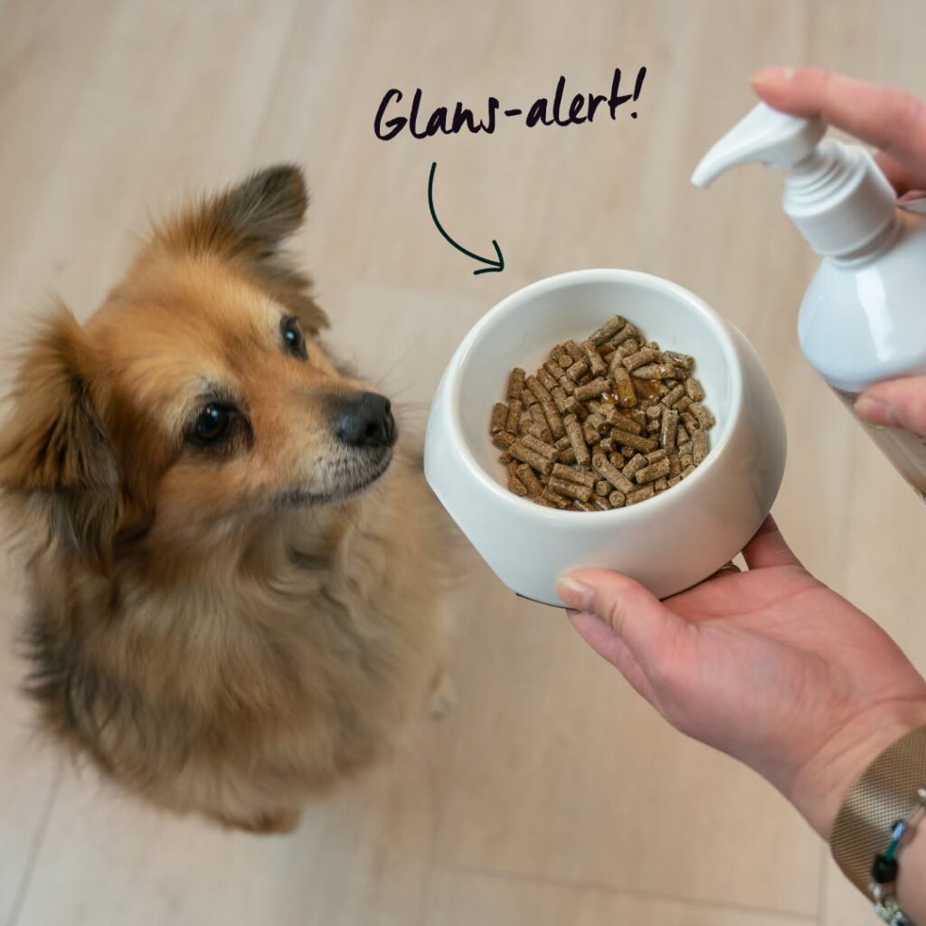 Schapenvet doseren over hondenvoer met het pompje van Carnis Vloeibaar Schapenvet