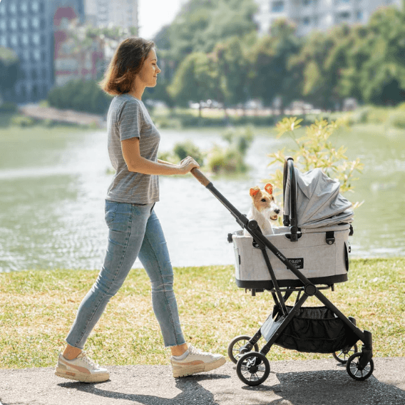 Vrouw wandelt met FikaGO Flytta Plus petbuggy langs water en ziet haar hond genieten